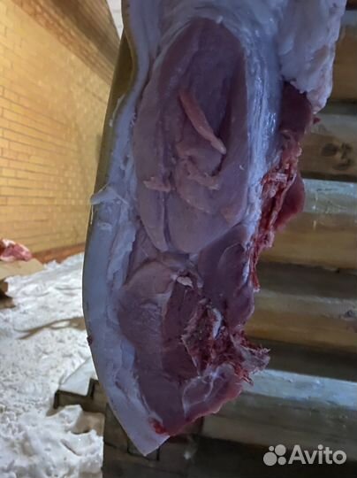 Мясо, свинина домашняя