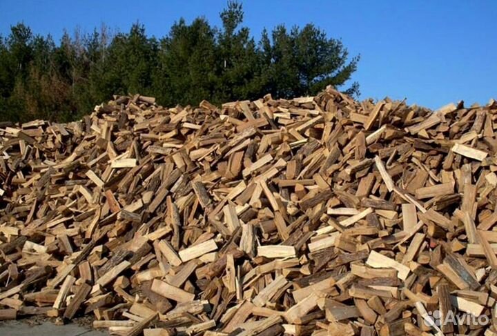 Дрова отборные