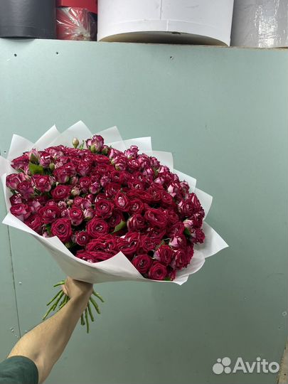 Кустовая роза