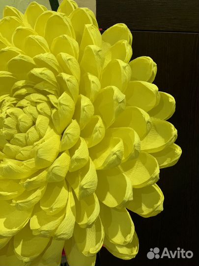 Большие цветы