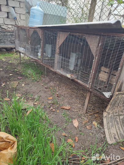 Клетки для кроликов