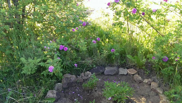 Участок 13,6 сот. (ИЖС)