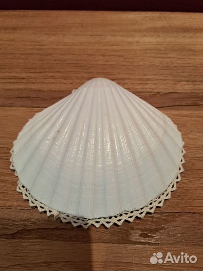 Подставка для украшений из ракушки