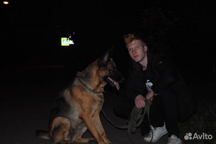 Свадебный фотограф