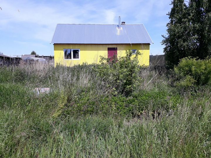 авито шацк животные. печины шацкий район рязанская область. шацк садовая. рязанская обл шацкий район село конобеево. польное конобеево рязанская область.