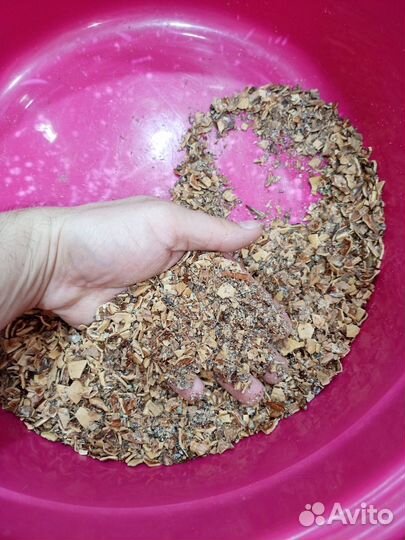 Орех грецкий дроблёный для кур