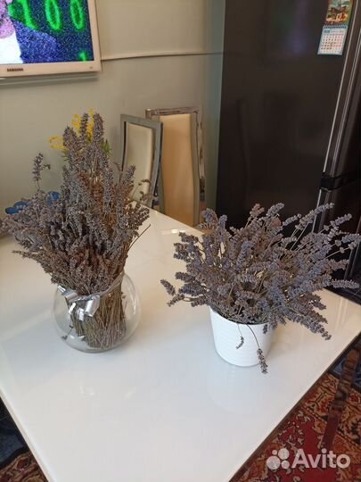 Сухоцветы Лаванды натуральные