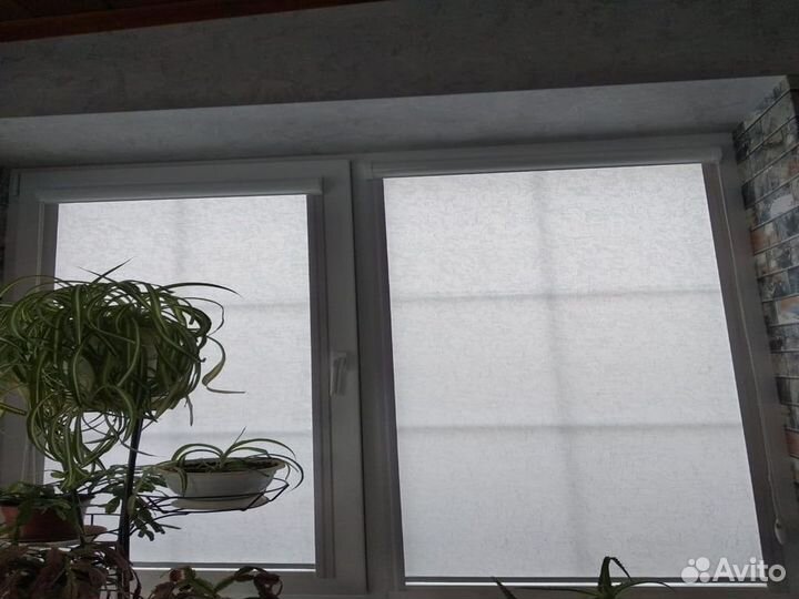 Жалюзи / Рулонные шторы