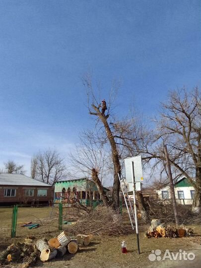 Вывоз,строительного мусора,разбор построек