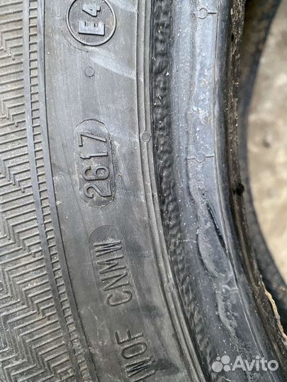 Gislaved Euro Frost 6 205/55 R16