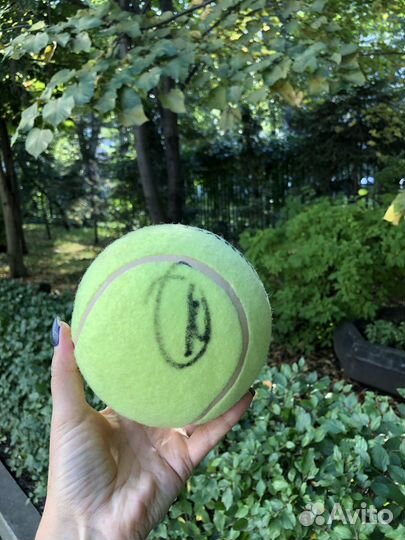 Эксклюзив Теннисный мяч Ролан Гаррос 2008