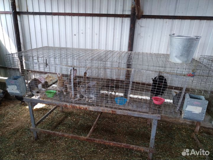 Клетка для кролика