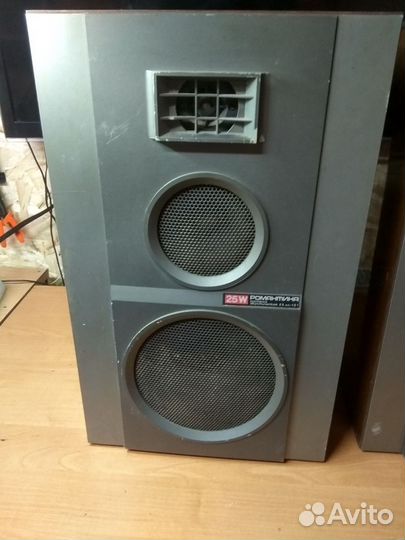 Акустическая система романтика 25ас-121