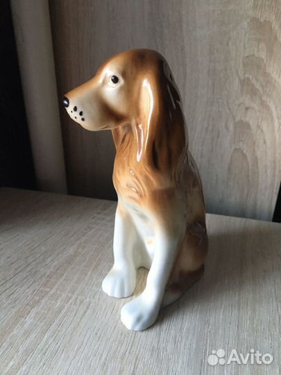 Собака спаниель Royal dux Чехословакия