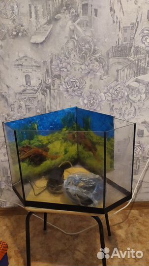 Аквариум
