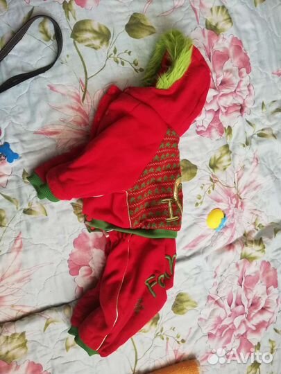 Одежда на таксу