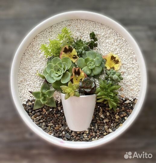 Флорариум, цветочные композиций, подарки