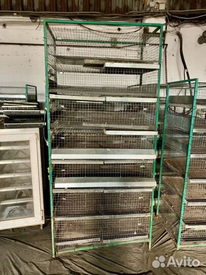 Икуботор для яиц Блиц База перепелок и др