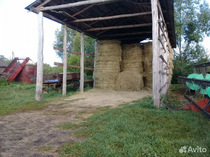 Сено луговое в рулонах 600 кг