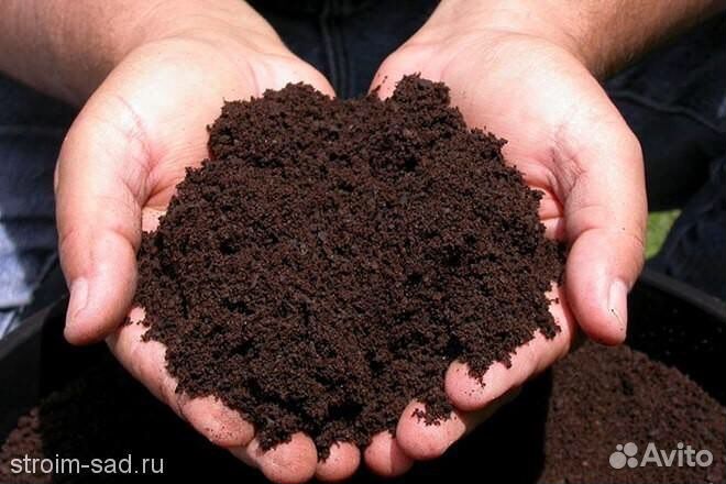Чернозем (в мешках)