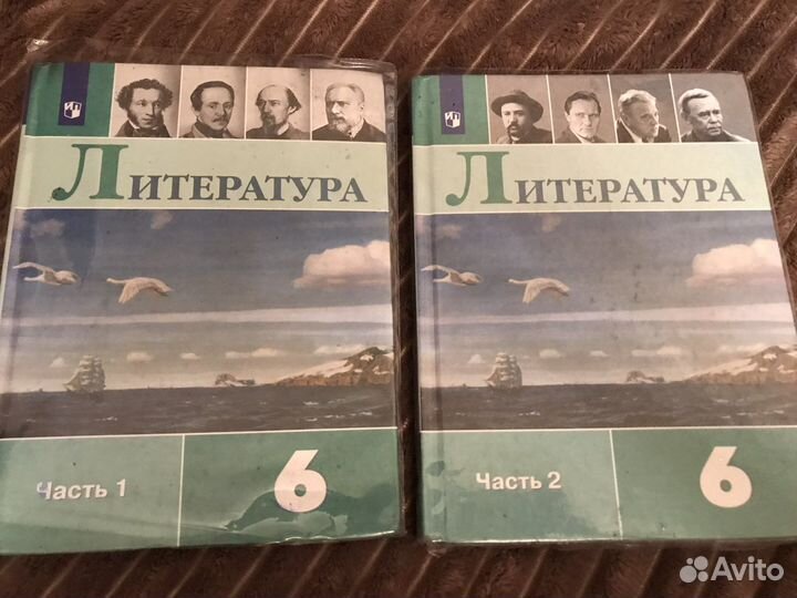 Учебники по литературе 6 класс 2 части Коровина