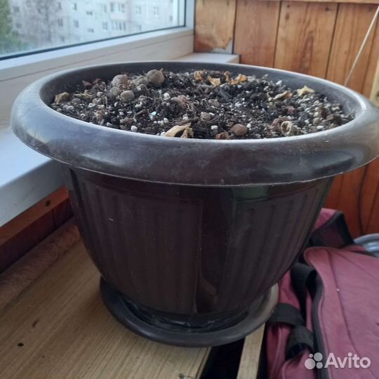 Горшки для цветов