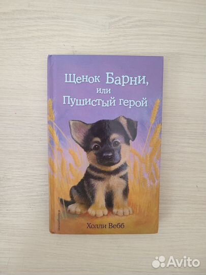 Книги Изадора Мун