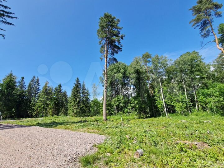 Участок 10 сот. (СНТ, ДНП)