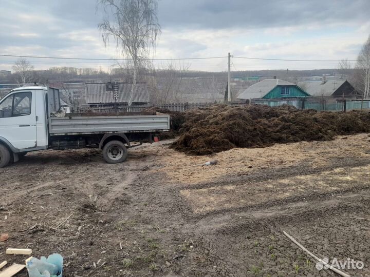 Перегной Навоз