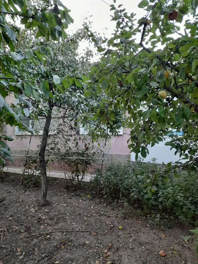 Дом 92 м² на участке 7 сот.