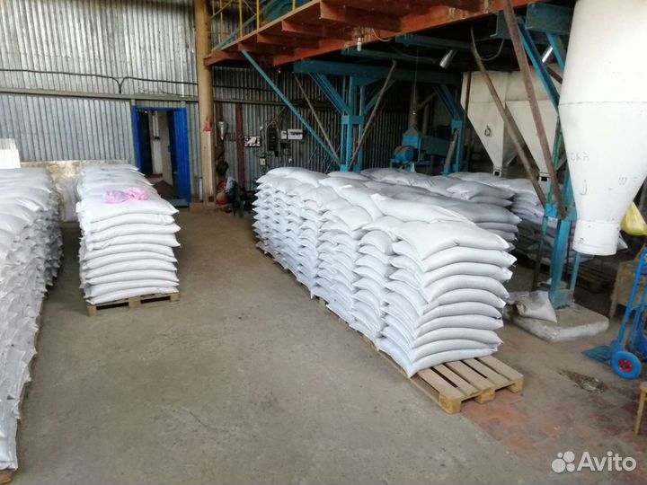 Очистка семян