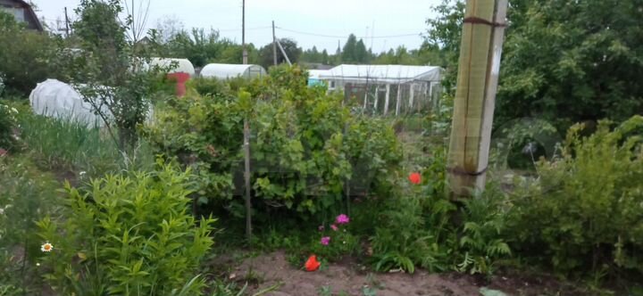 Дача 20 м² на участке 4 сот.