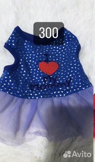 Одежда для собак