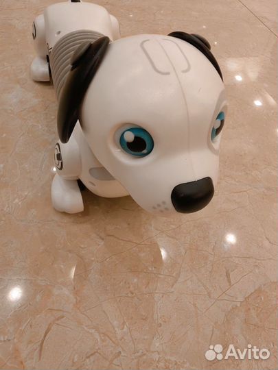 Ycoo робот собака