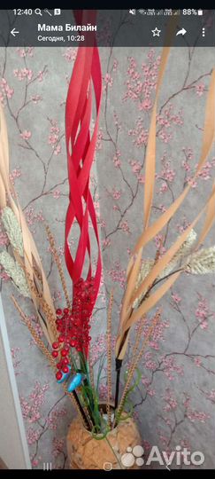 Дендробиум