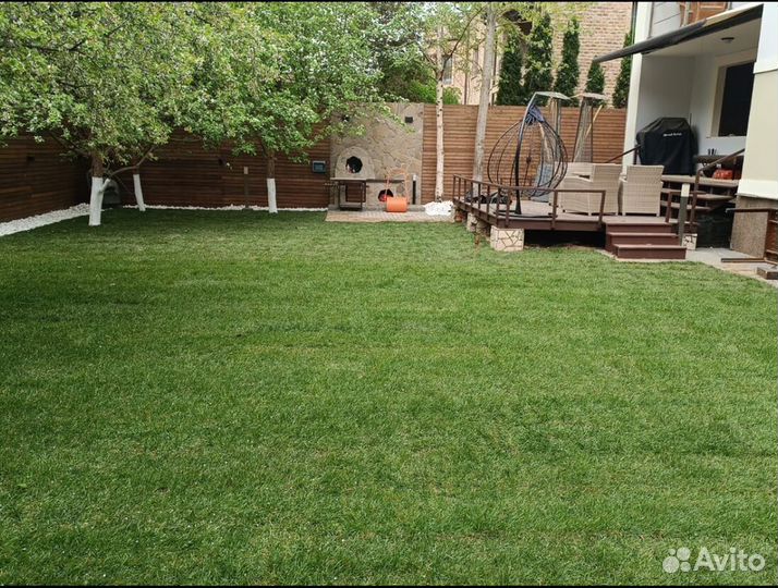 Рулонный газон Стандарт доставка укладка