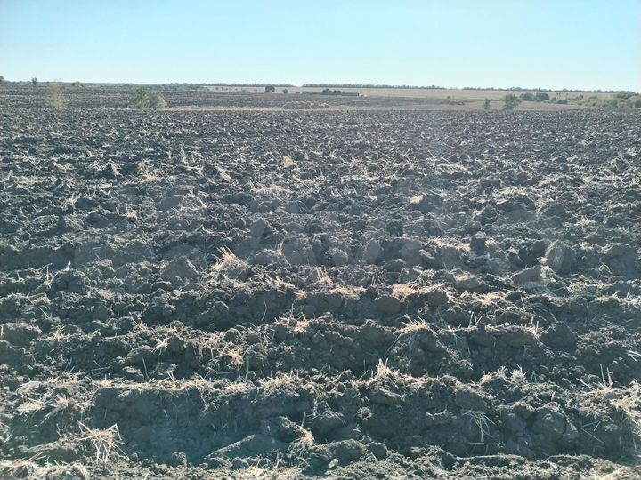 Участок 100 га (СНТ, ДНП)