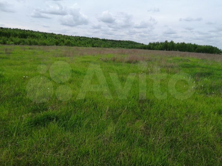 Участок 33 га (СНТ, ДНП)