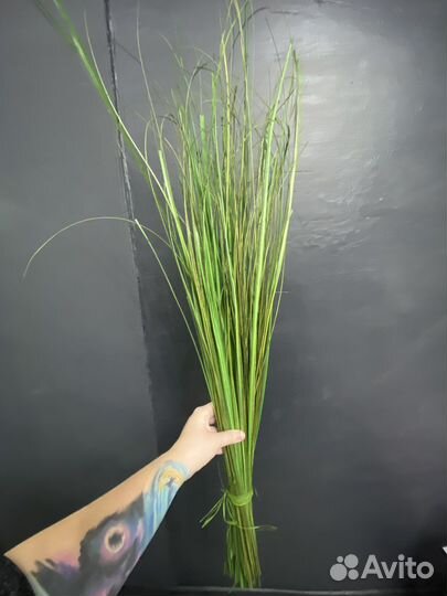 Зелень декор IKEA