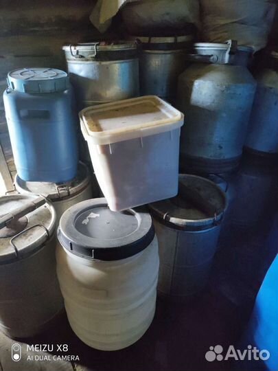 Мед Алтайский