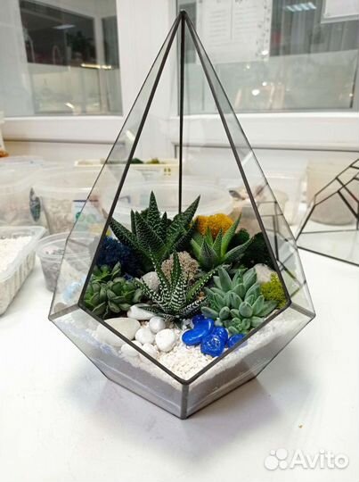 Флорариумы