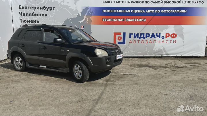 Трубка гидроусилителя Hyundai Tucson (JM)