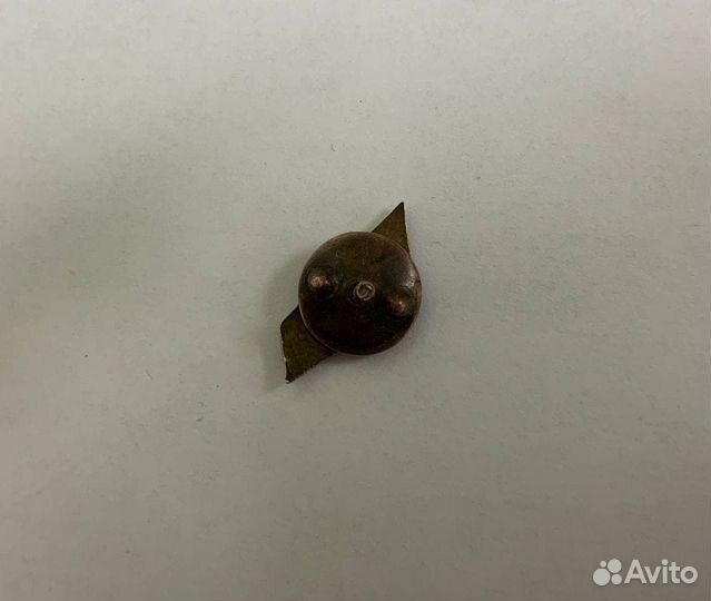 Значок дсо Буревесник