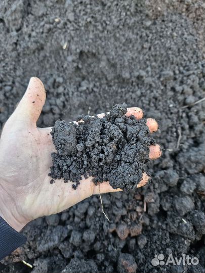 Универсальный грунт