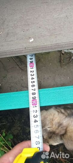 Сортировочная линия тбо продаю