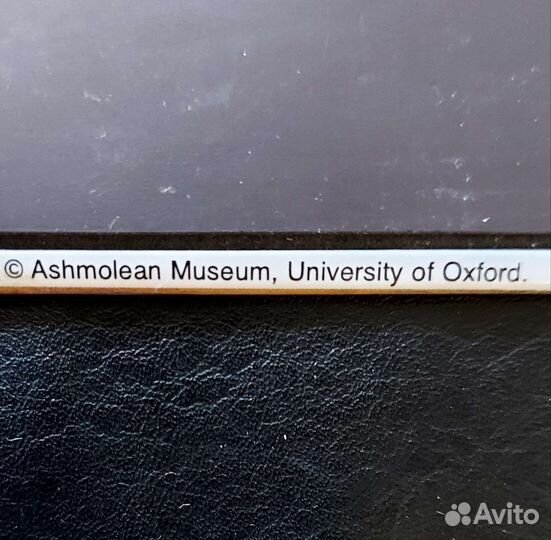 Магнит на холодильник Слон