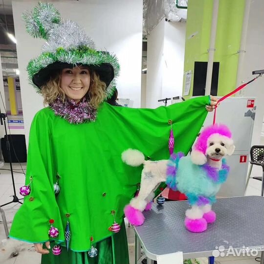 Груминг - Салон. Зоо-отель. Дрессировка собак