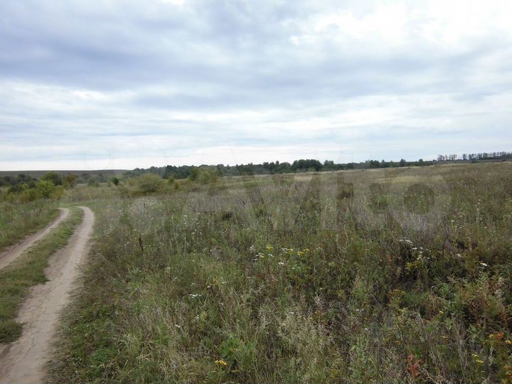 Участок 25,65 га (СНТ, ДНП)