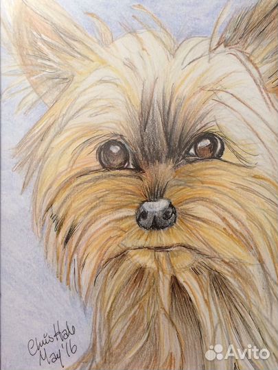 Рисую ваших питомцев