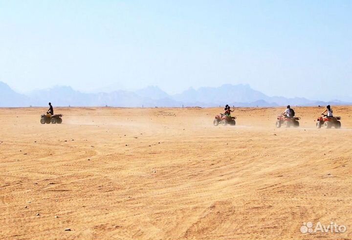 Тур путевка Египет, Шарм-Эш-Шейх на 9 н. все вкл